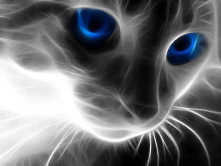 A high-definition desktop wallpaper featuring an artistic, close-up image of a cat with striking blue eyes and an ethereal glow.