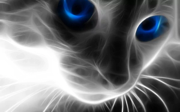 A high-definition desktop wallpaper featuring an artistic, close-up image of a cat with striking blue eyes and an ethereal glow.