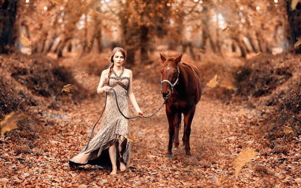 Women Model Horse Fall Leaf Bokeh Brunette Braid Dress HD Wallpaper | Background Image