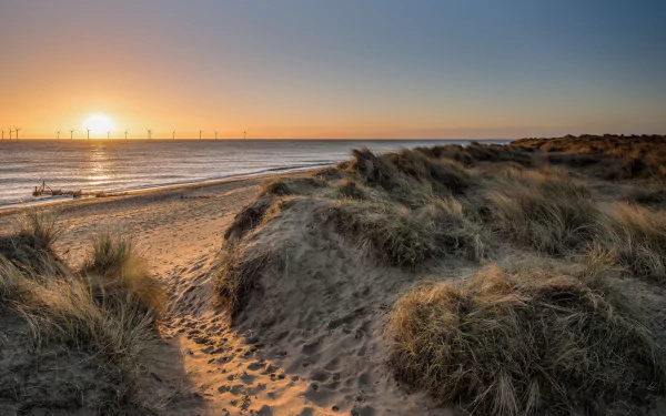 sunrise ocean horizon nature wind turbine landscape sand beach HD Desktop Wallpaper | Background Image