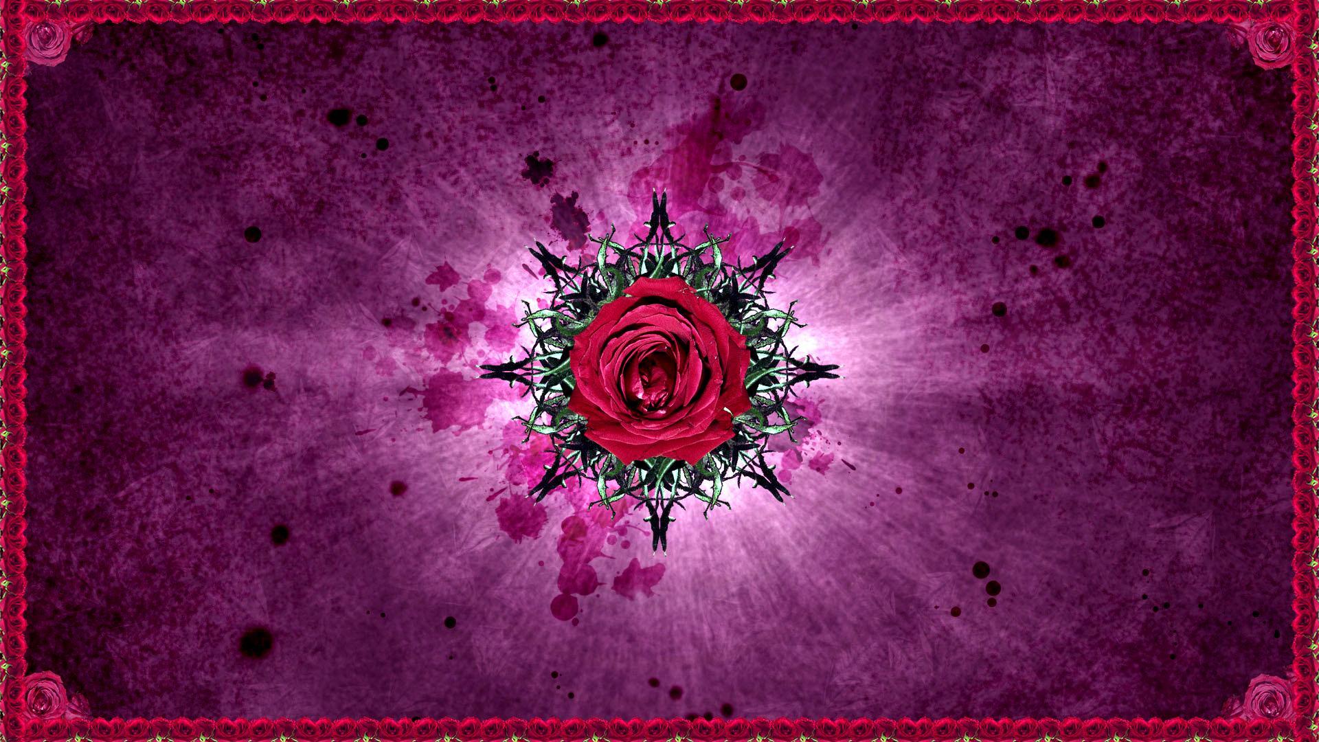 Artistic Rose HD Wallpaper | Background Image