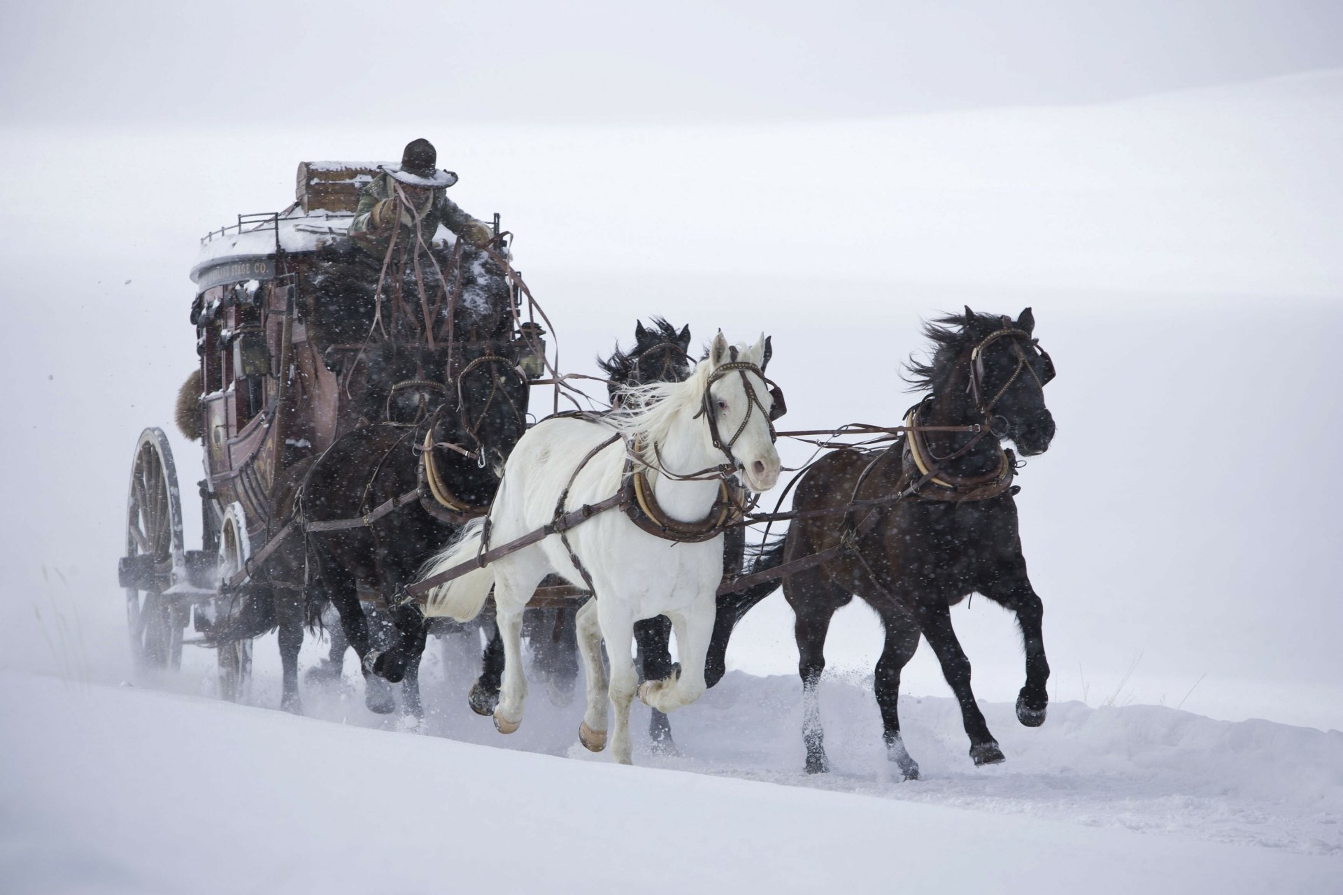 Stagecoach pulled by white and black horses across a snowy plain — cinematic scene from The Hateful Eight. 2K Quad HD PC desktop wallpaper/background.