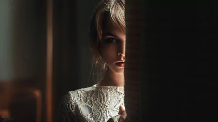 HD desktop wallpaper featuring a brunette woman, model Anastasiya Scheglova, partially hidden in shadows, displaying a moody and enigmatic expression.
