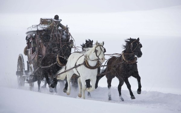 Movie The Hateful Eight Horse HD Wallpaper | Background Image