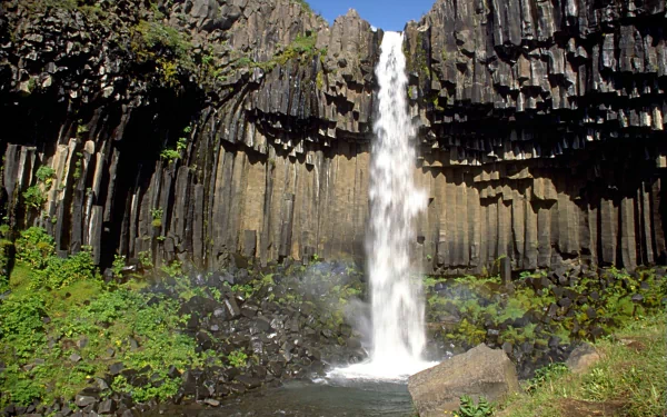  Iceland Waterfall Svartifoss in Summer