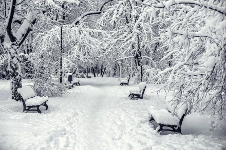 HD PC desktop wallpaper showcasing a serene winter park scene with snow-covered benches and trees blanketing the path in fresh white snow.