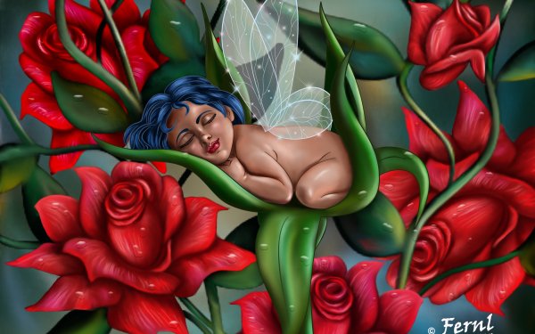 Fantasy Fee Baby Sleeping Blume Wings Rose Rot HD Wallpaper | Hintergrund