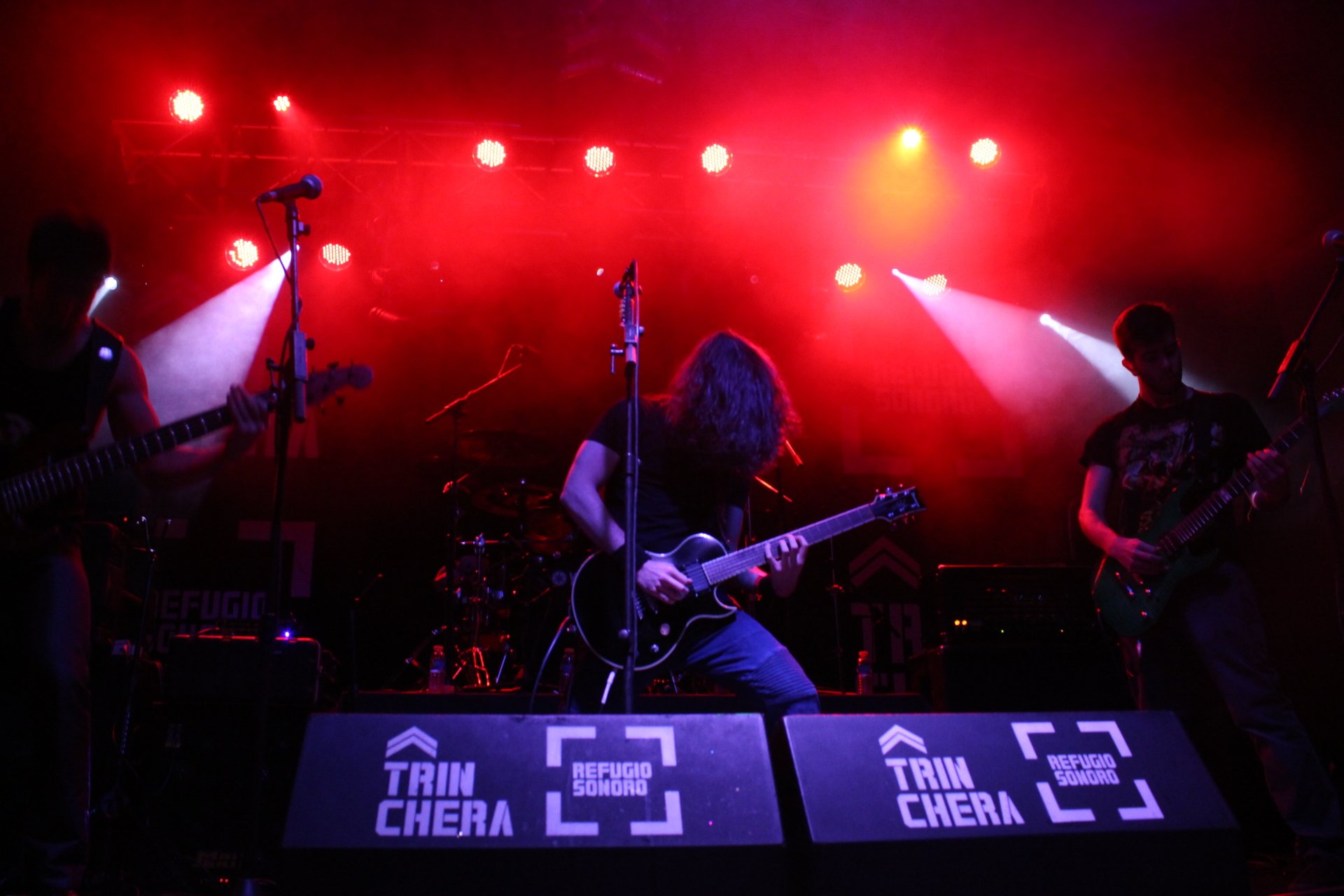 Bull of phalaris Hurtado by pbfalaris