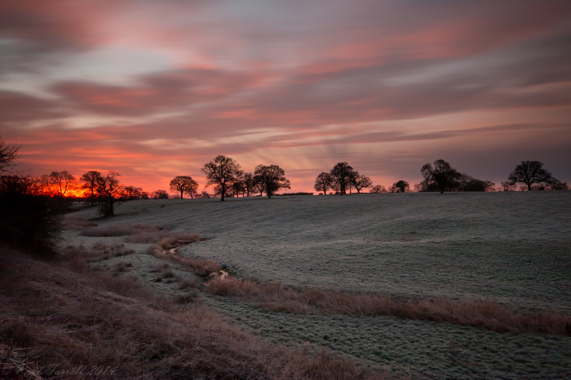 4K Ultra HD desktop wallpaper of a serene dusk landscape with silhouetted trees under a vibrant pink and orange sunset sky.