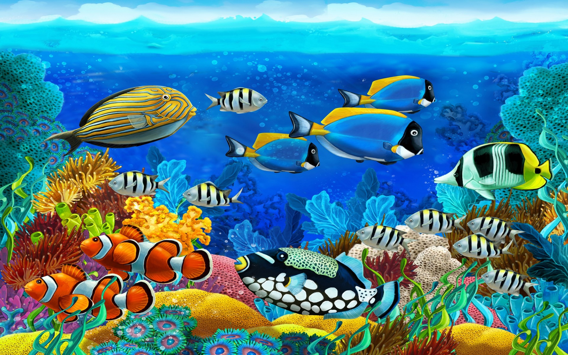 Download Ocean Underwater Sea Bed Tropical Fish Tropical Animal Fish HD