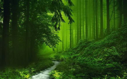 HD desktop wallpaper featuring a serene stream flowing through a lush, green forest with towering trees and a light fog, showcasing the beauty of nature and greenery.
