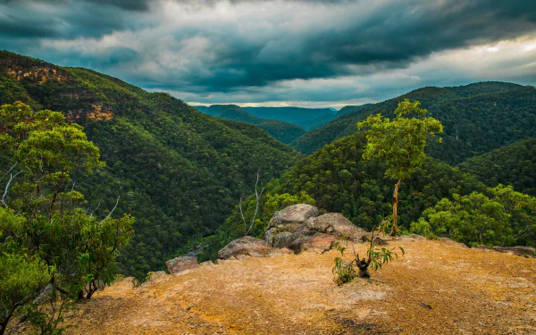  Blue Mountains in Australia by Pav Dharia