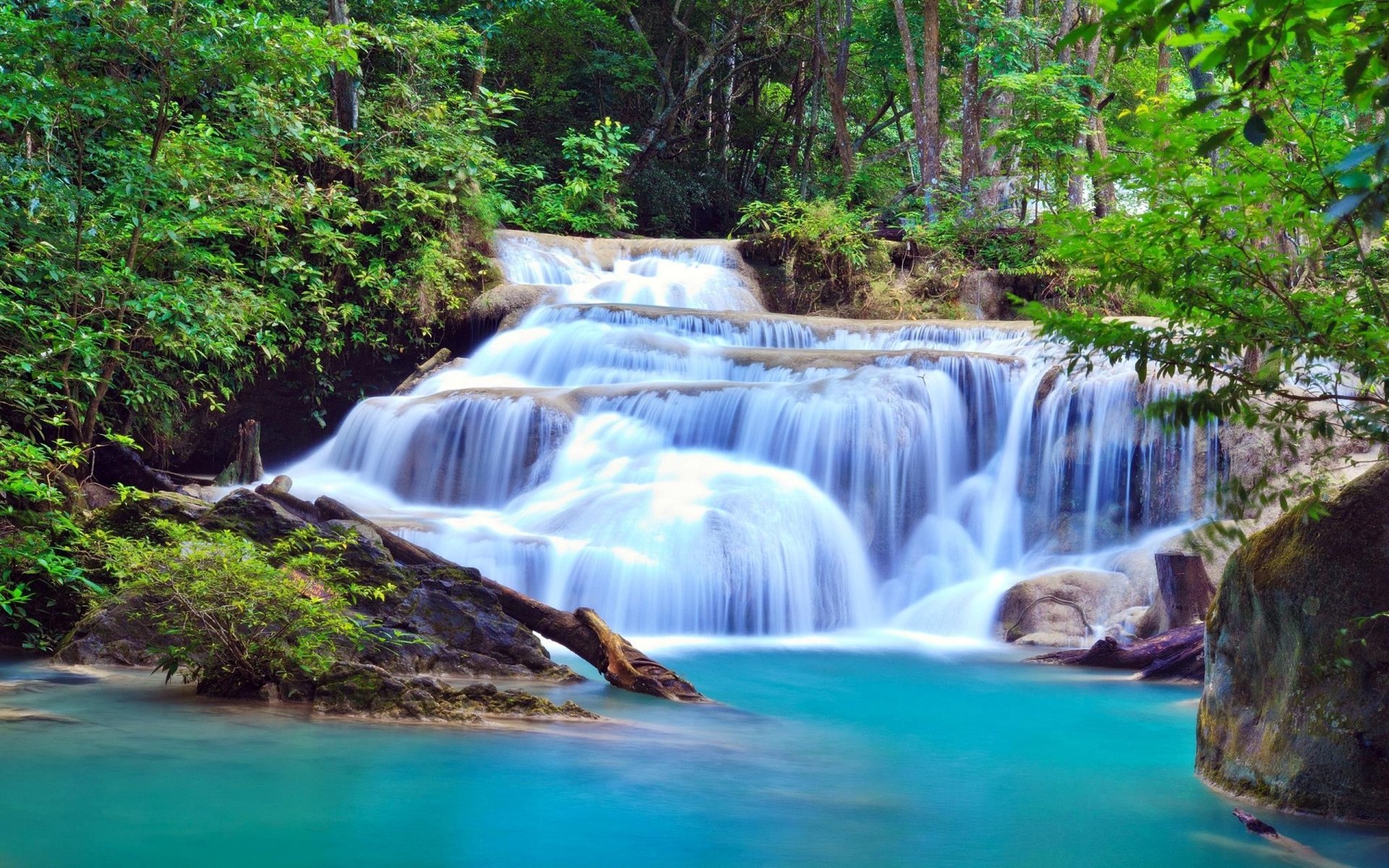 Download Nature Green Forest Tree Thailand Kanchanaburi Falls Waterfall ...