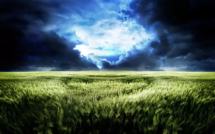 HD desktop wallpaper of a CGI-rendered field under a dramatic sky with dark clouds and a hint of blue peeking through. The image captures the beauty of nature's landscape.