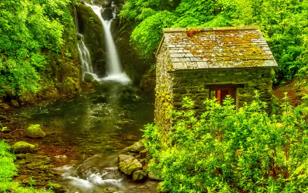 A moss-covered shack beside a vibrant green forest waterfall with lush foliage, captured in HD for a stunning PC desktop wallpaper background.