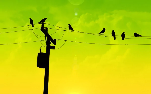Silhouetted crows perch on power lines against a vibrant yellow and green background, creating a striking animal-themed HD desktop wallpaper.