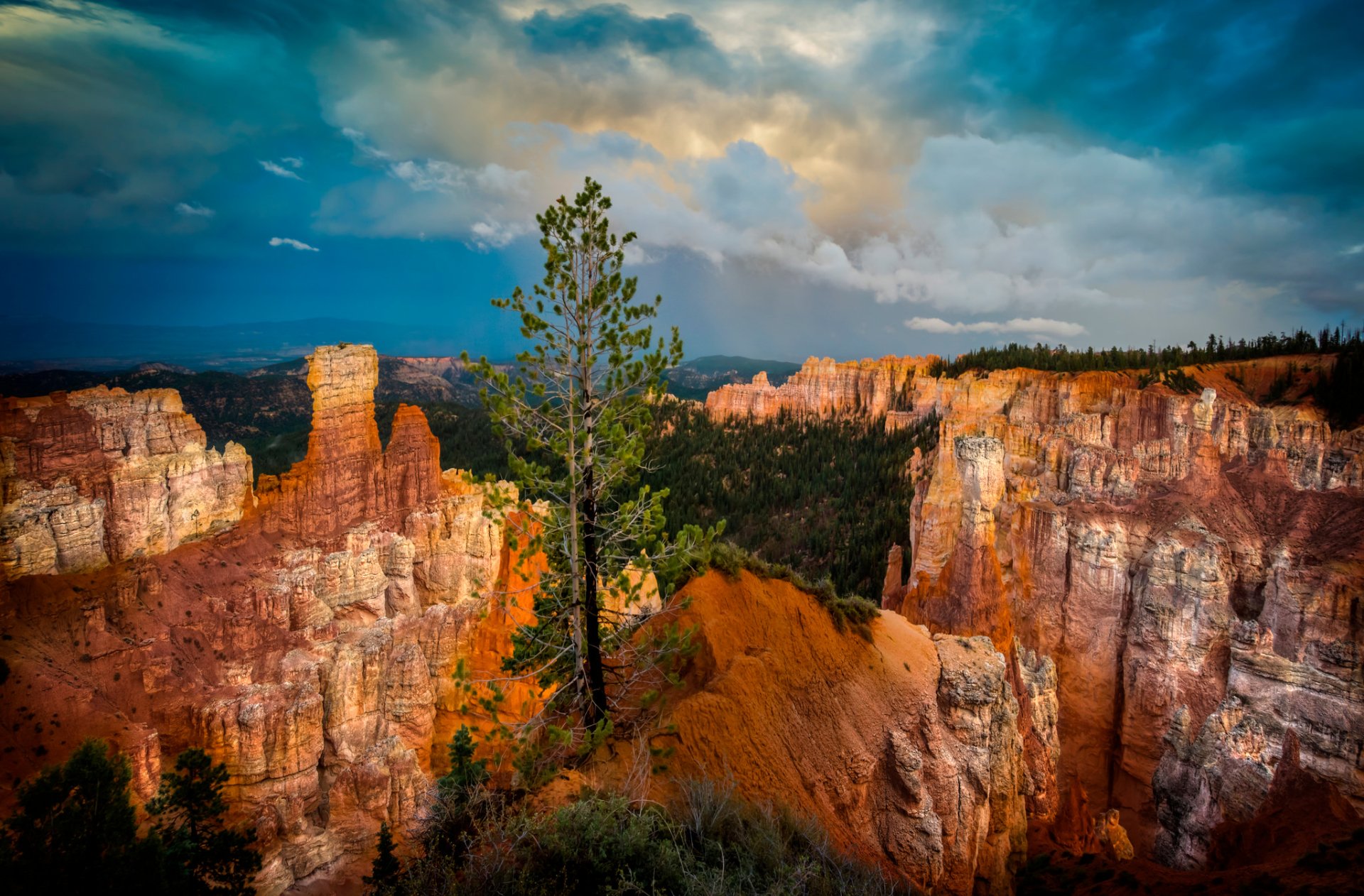 Dramatic view of Bryce Canyon National Park in Utah with towering rock formations, a lone tree in the foreground, and cloudy skies overhead.