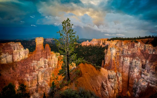 Earth Bryce Canyon National Park National Park Canyon Utah Tree Cloud Nature HD Wallpaper | Background Image