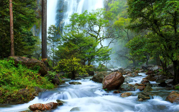 A tranquil scene featuring a lush green forest with a cascading waterfall and a gentle stream flowing over rocks, capturing the beauty of nature's serene landscape.
