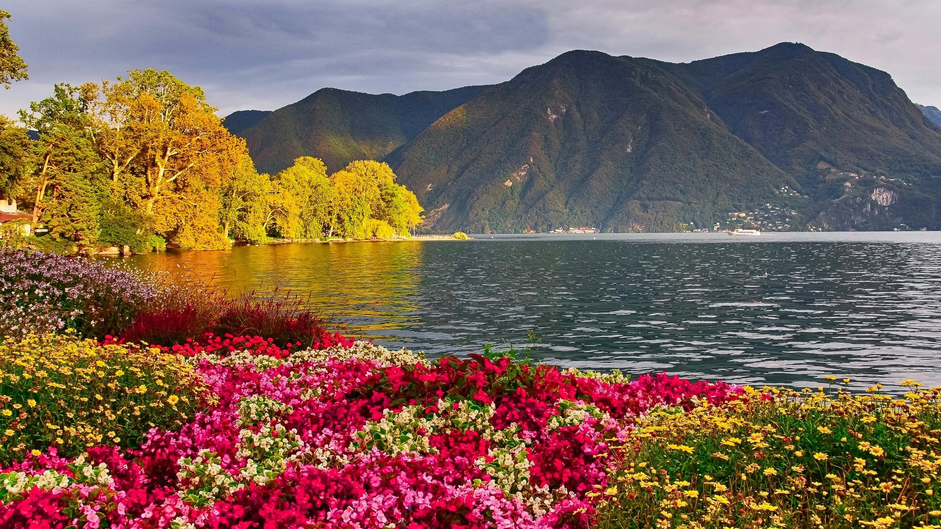 Download Mountain Flower Earth Photography Lake HD Wallpaper