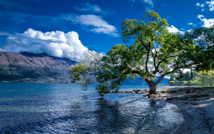 A serene landscape featuring Lake Wakatipu, surrounded by majestic mountains and lush trees under a bright blue sky, creating a stunning nature backdrop.