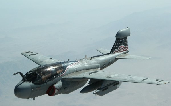 Military Northrop Grumman EA-6B Prowler Jet Fighters Northrop Grumman Navy Aircraft Warplane HD Wallpaper | Background Image