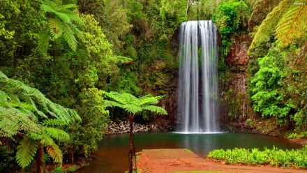 HD desktop wallpaper featuring a serene tropical waterfall surrounded by lush greenery. The waterfall cascades into a clear pool, creating a peaceful nature scene.