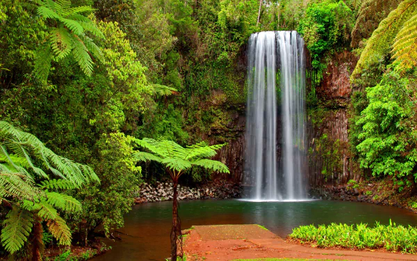 HD desktop wallpaper featuring a serene tropical waterfall surrounded by lush greenery. The waterfall cascades into a clear pool, creating a peaceful nature scene.