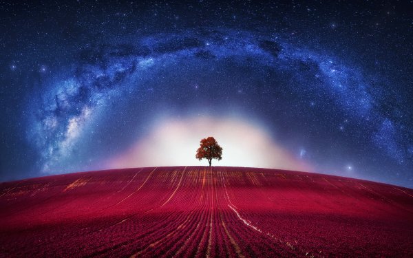 Photography Manipulation Lonely Tree Tree Field Milky Way Sky Stars HD Wallpaper | Background Image