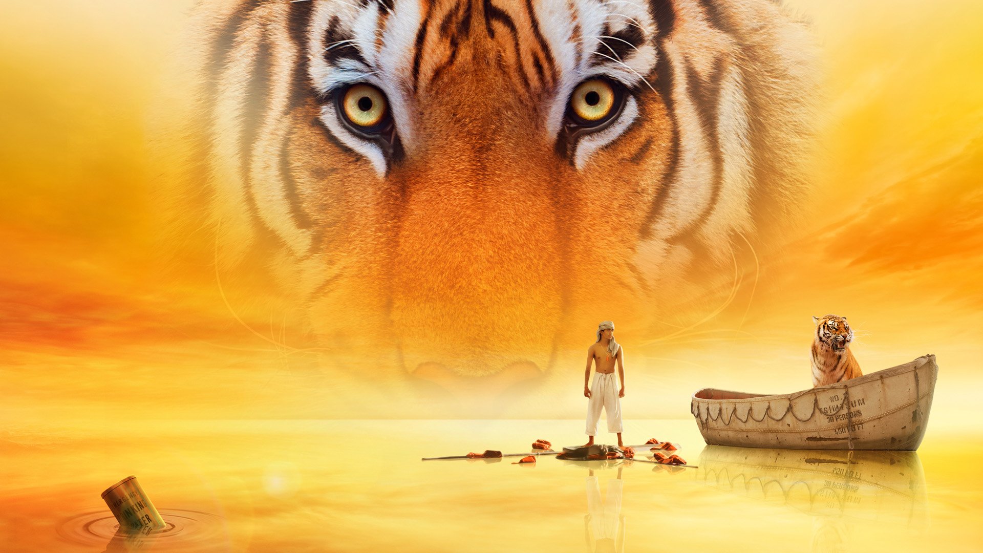 Download Eye Tiger Movie Life Of Pi HD Wallpaper