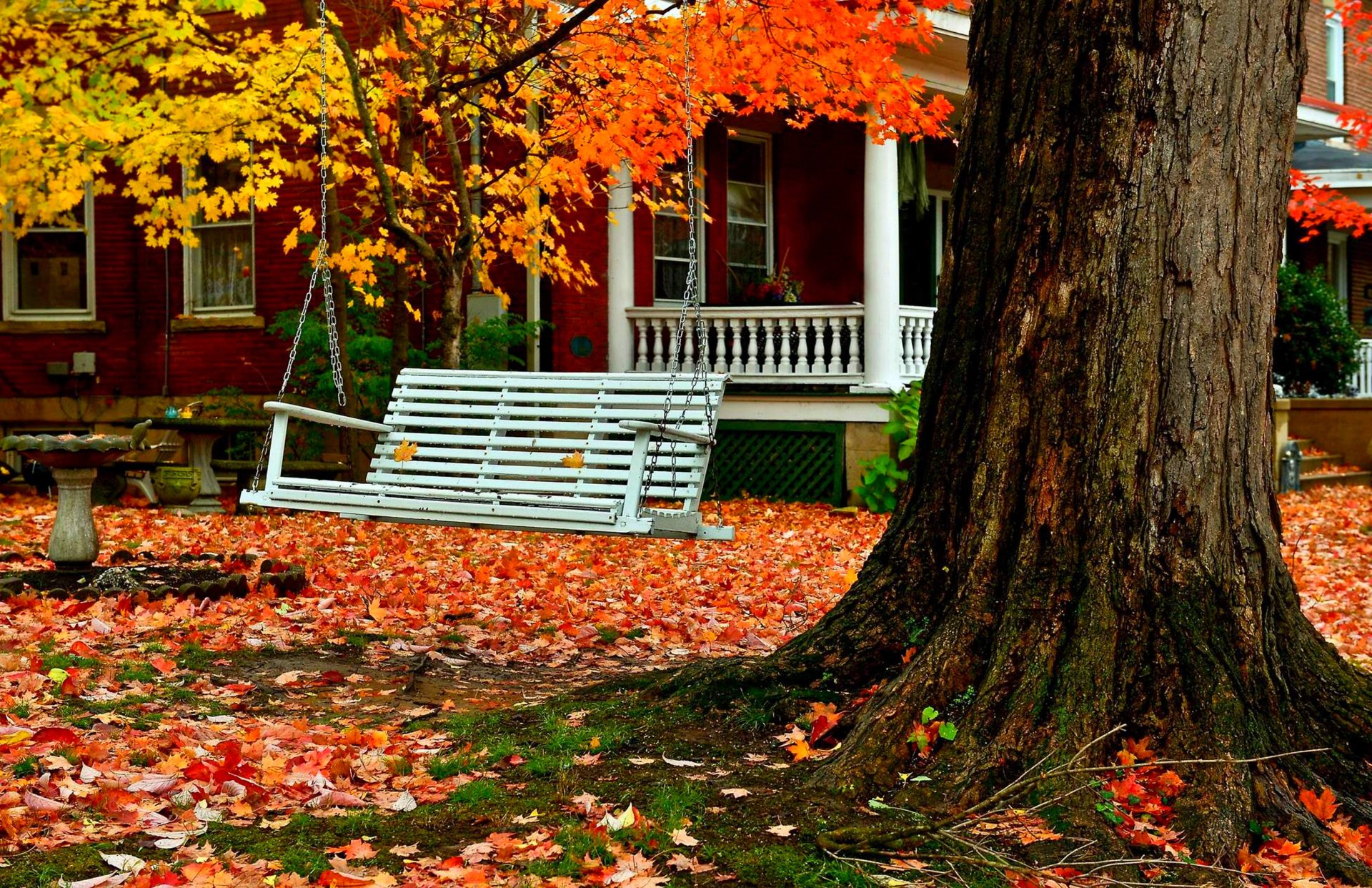 House in Autumn with Tree Swing