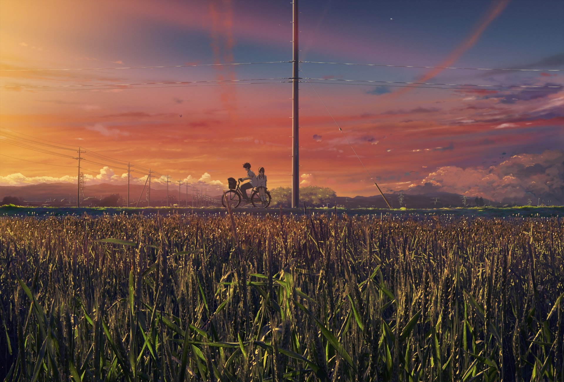 A stunning HD anime wallpaper depicting a serene sunset over a rice field, featuring a person riding a bicycle alongside a power pole, capturing a tranquil moment in nature.