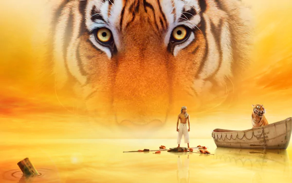 eye tiger movie Life of Pi HD Desktop Wallpaper | Background Image