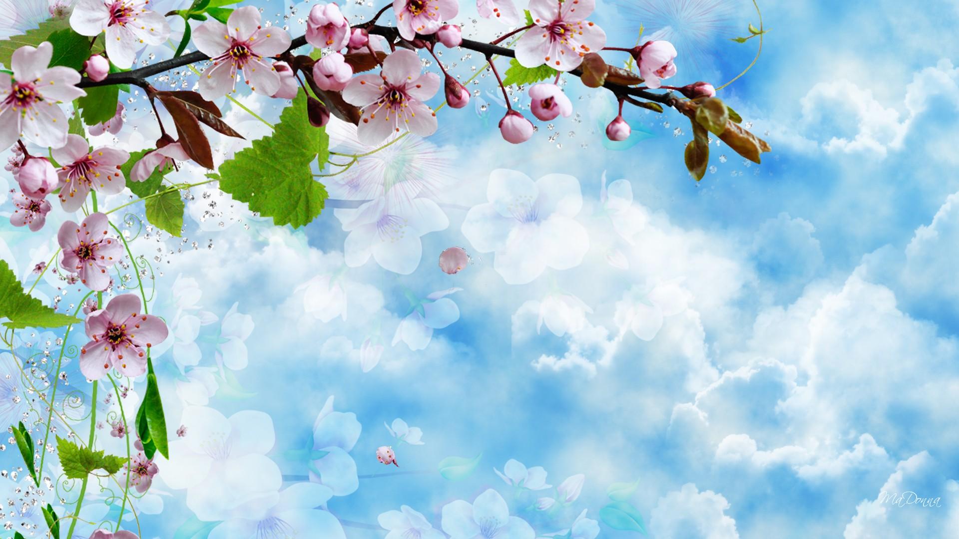Pink Blossoms by Ma Donna