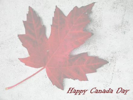 HD PC desktop wallpaper: red maple leaf on a textured white surface with Happy Canada Day script — Canada Day holiday background