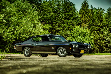 A sleek black Pontiac GTO muscle car parked against a backdrop of lush greenery, showcasing its classic design in vibrant 4K Ultra HD quality.