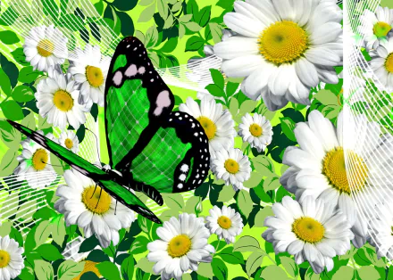  Butterfly and Camomiles
