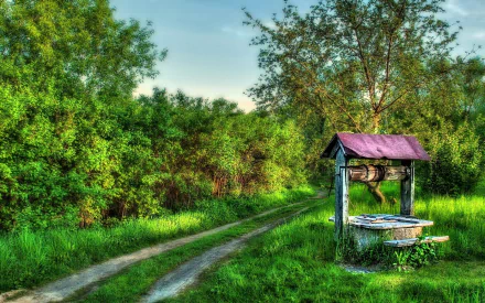  Old Wishing Well by Dirt Road
