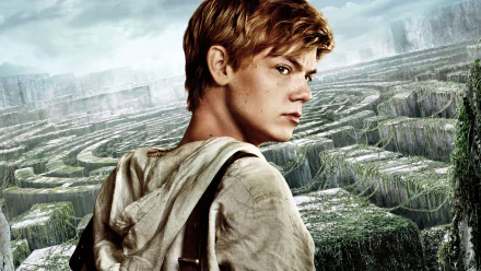 A dramatic HD wallpaper featuring Thomas Brodie-Sangster from the movie The Maze Runner, set against a vast, intricate maze backdrop.