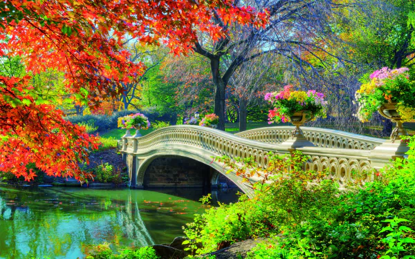 A vibrant spring scene featuring Bow Bridge in Central Park, surrounded by lush greenery and colorful flowers, reflecting beautifully in the serene water below.