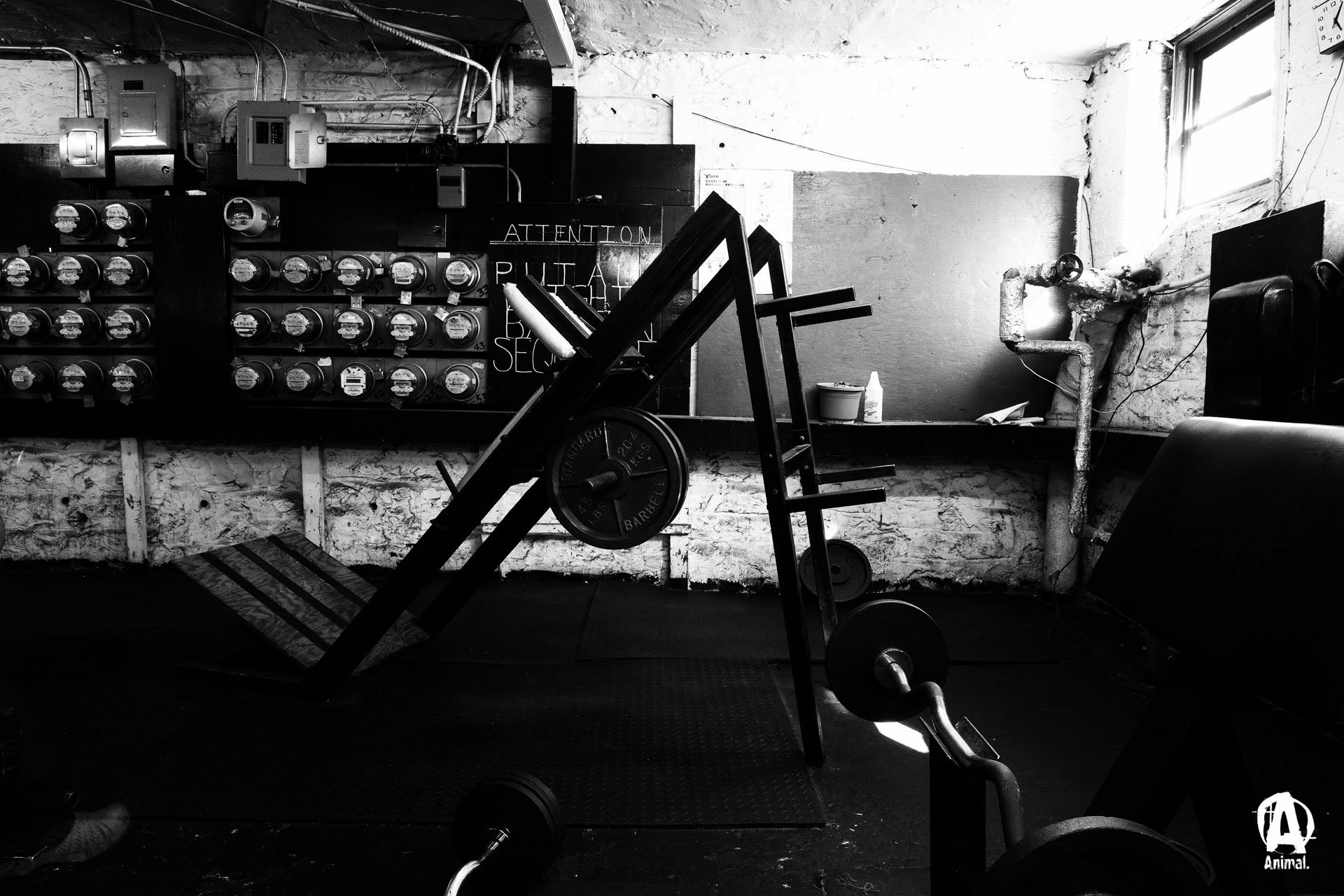 Download Gym Sports HD Wallpaper