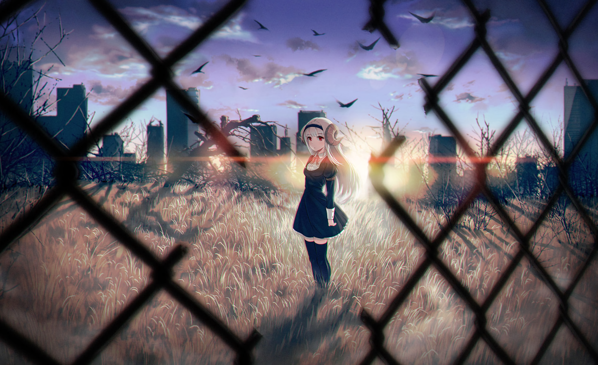 A striking HD anime wallpaper featuring a girl standing in a desolate landscape, framed by a chain-link fence, with a dramatic sunset and silhouettes of a city skyline in the background.