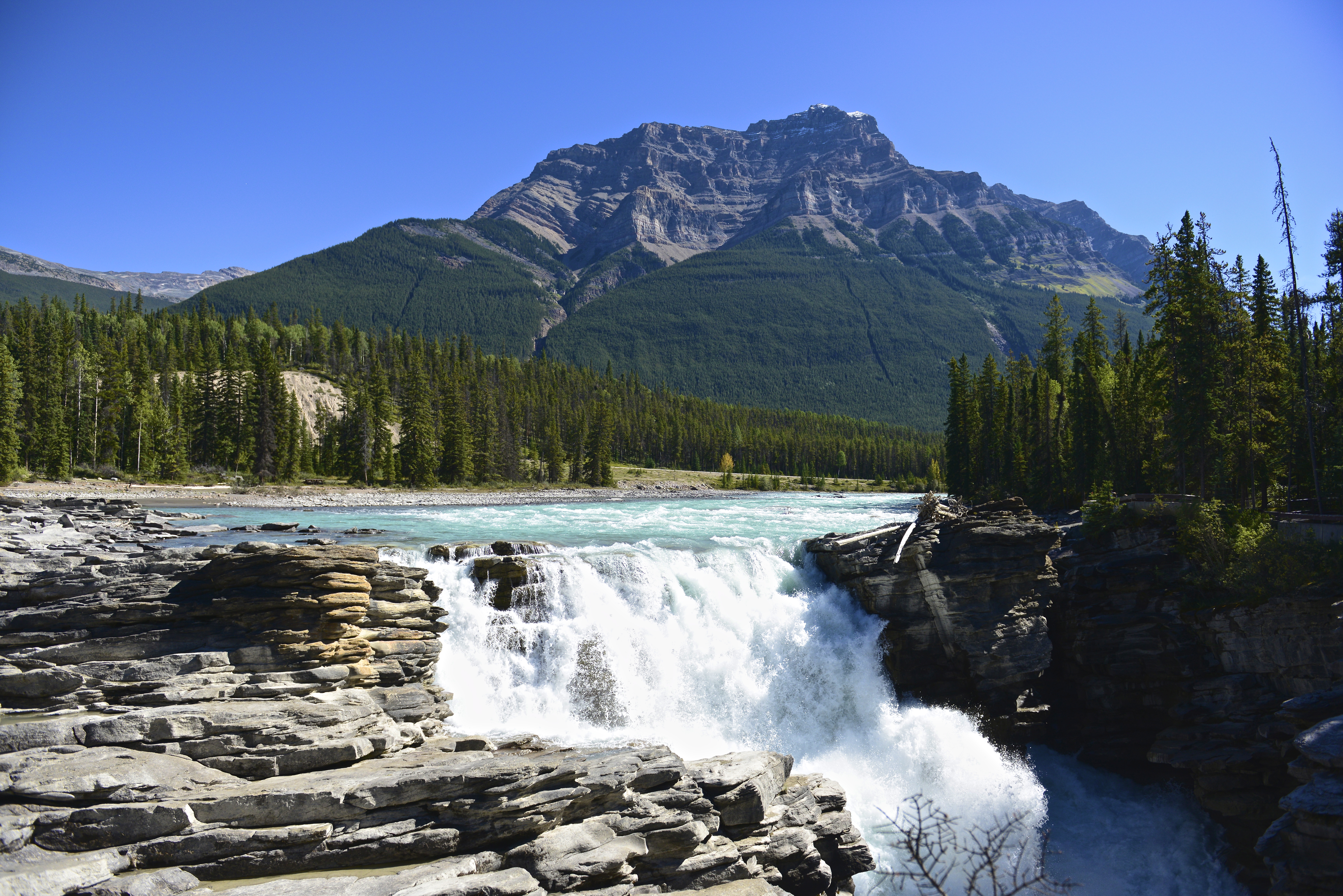 Earth Athabasca Falls HD Wallpaper | Background Image