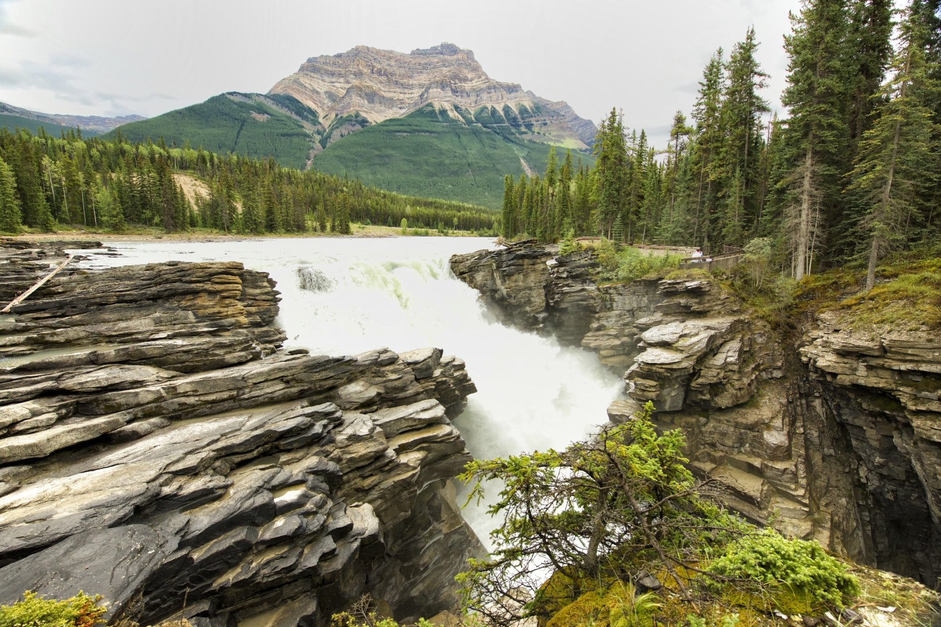 Download Nature Mountain Forest River Canada Jasper National Park Waterfall Athabasca Falls HD Wallpaper