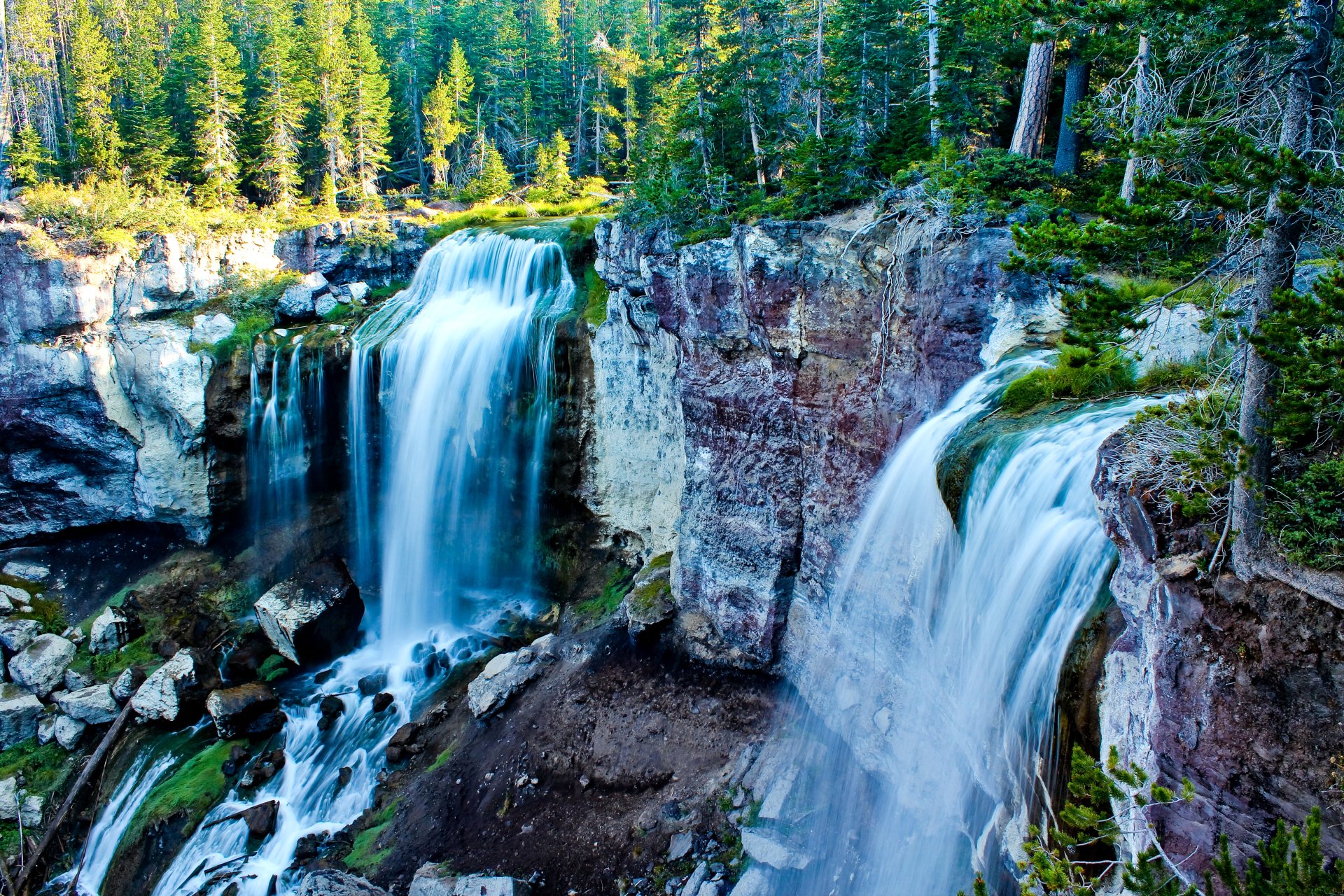 Download Tree Green Forest Stone Nature Waterfall 4k Ultra HD Wallpaper