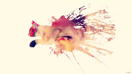 splash Animal cat HD Desktop Wallpaper | Background Image