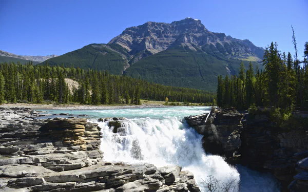 nature mountain forest river Canada Jasper National Park waterfall athabasca falls HD Desktop Wallpaper | Background Image