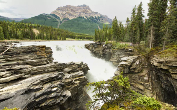 nature mountain forest river Canada Jasper National Park waterfall athabasca falls HD Desktop Wallpaper | Background Image