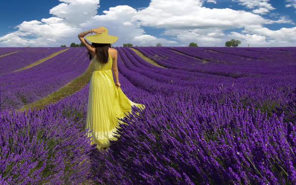 A woman in a yellow summer dress and hat strolls through a vibrant lavender field, captured from the rear against a backdrop of blue skies and fluffy clouds.