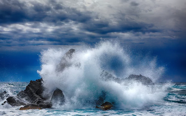  Sea Spray